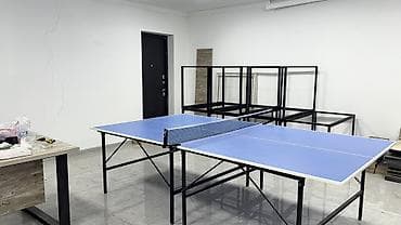 очки 3d: Теннисный стол (настольный теннис) - Игровая поверхность: синяя — 1