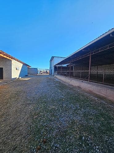 аренда берем: Кошара, 21 соток, Действующий, Отопление, Холодная вода, Электричество — 6