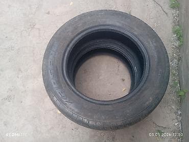 Шины 195 / 65 / R 15, Лето, Легковые, Kapsen