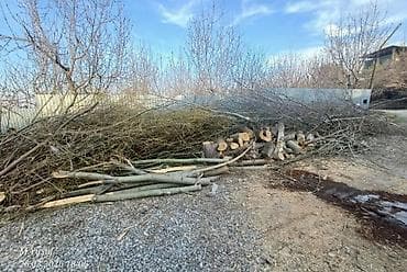 дров: Дрова — 2