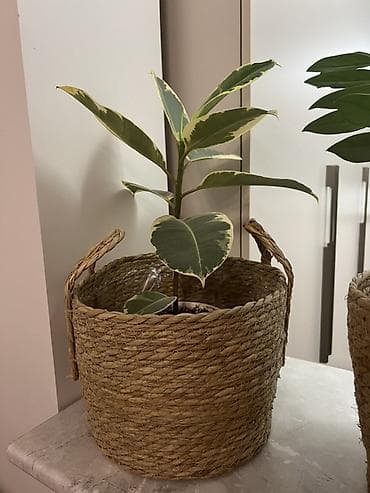 bubble tea: Плетёный кашпо‑корзина для растений В наличии 2 шт новые. Цена — 1