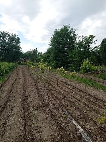 барачные квартиры на продажу: Дом с внутренним двором и террасой/верандой. - Одноэтажный жилой дом — 10