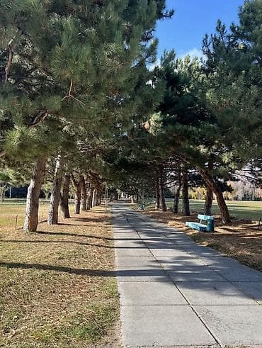 квартира без хозяина: Квартира, ЦО Кыргызское взморье, Бостери, Детская площадка, Парковка, стоянка, Охраняемая территория — 1