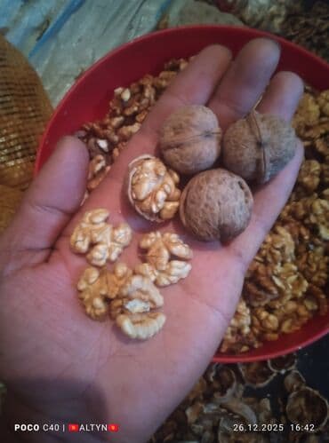 модные одежды: ЖАҢГАК АЛАБЫЗ. ОРЕХ ПОНИМАЮ. КЕЛИШИМ БААДА._+
Чалыңыздар 📱📱📱 — 2