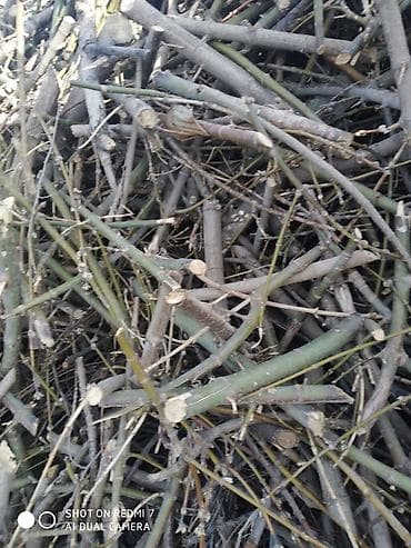 шашлык заказ: Дрова Бесплатная доставка — 2