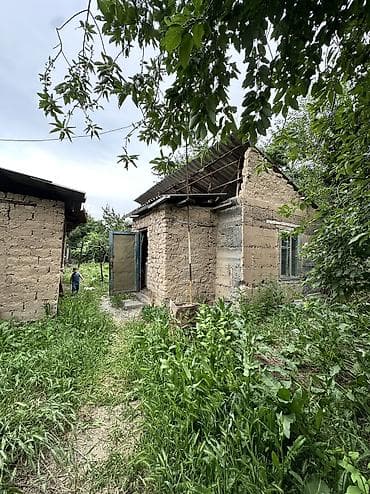 продажа дом дордой: Сдаю дом . Село сокулук Свет вода есть туалет уличный Кухня — 2