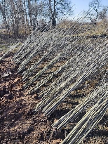 генератор сатылат: Бакча шаймандары үчүн саптар — 2