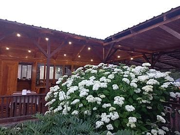 дом ош: Гостевой дом «Кумбел» в с. Бостери для семейного и корпоративного — 4