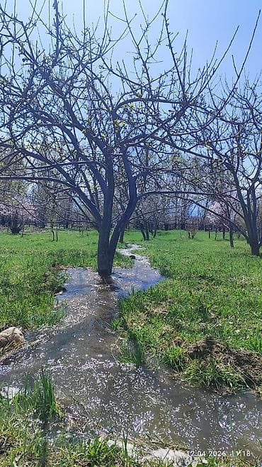 кызыл таш: 25 соток, Айыл чарба үчүн, Кызыл китеп — 1