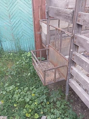животные птицы: Клетка тапчан для баран. сделано из советского металла размер — 5