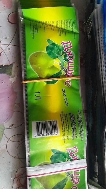 компрессор бишкек: Новый — 2