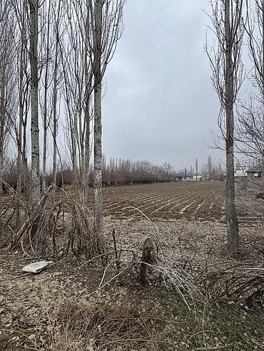 чалдовар продажа домов: 20 соток, Для строительства, Красная книга — 7