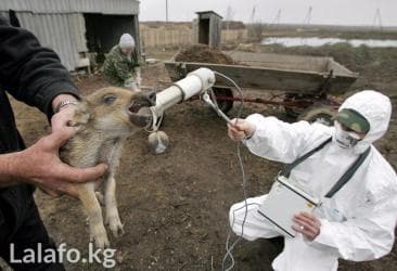 всвязи с переездом: Измерение радиации.Бета,гамма.Возможен выезд — 1