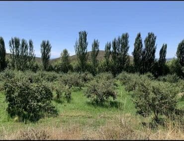 продаю дом учхоз: Дом, 182 м², 5 комнат, Агентство недвижимости — 2