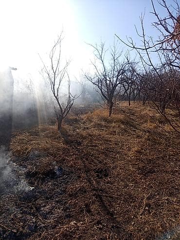 Үйдү ижарага алам: Үй, 90 м², 4 бөлмө, Менчик ээси — 3