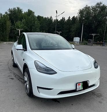 byd e1: Tesla Model Y: 2024 г., Электромобиль, Кроссовер — 3