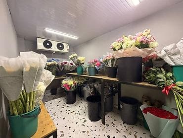Продажа магазинов В жилом доме, 83 м², Свежий ремонт, Отдельный вход, 1 этаж — 4