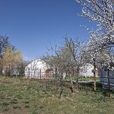 иссык куль отдых цены: Отметьте Майские праздники в дали от шумного города. Гостевые Боз-уй/ — 1
