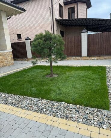 🟢 Газон 🟢Сеем газон 🟢 Ландшафтный дизайн 🟢 Озеленение территории 🟢 at lalafo.kg 🟢 Газон 🟢Сеем газон 🟢 Ландшафтный дизайн 🟢 Озеленение территории 🟢