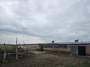 купить дом в деревне лнр недорого: Дача, 30000 кв. м, 2 бөлмө, Менчик ээси — 9