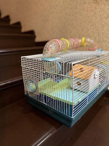продаю животных: Клетка для хомяка с игровым тоннелем и аксессуарами - Просторная — 3