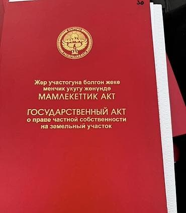 4 соток, Красная книга — 1