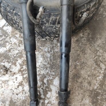 бакту долонотуу: Без выезда — 5