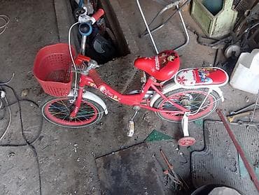 Детский велосипед, 4-колесный, 6 - 9 лет, Для девочки