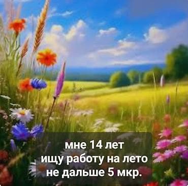 подработка на лето: Ищу работу - Студент, Без опыта, Неполный рабочий день — 1