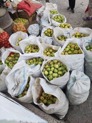 превосходный сорт яблок: Яблоки — 2