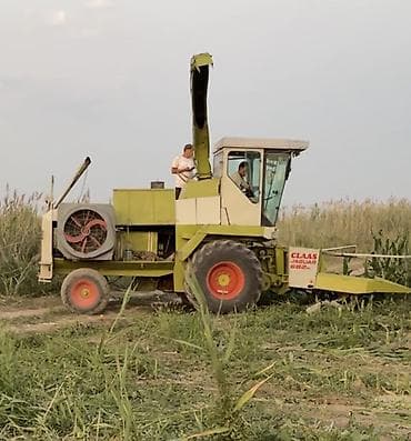 honda dio af68: Claas, Обмен, Б/у — 1