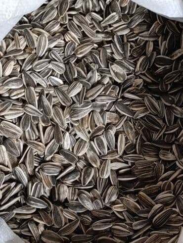 бу мебель бишкек: Семичка куункарама — 3