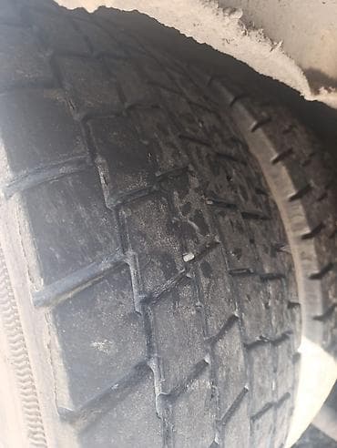 daf 95xf: Грузовик, MAN — 5