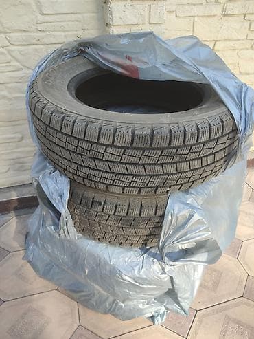 h 1: Зимние шины 225/65/17R размер - Тип: зимние фрикционные (липучка) — 1