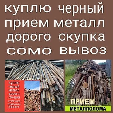 роза гулдор: Скупка черный металл скупка черный металл скупка черный металл купить — 1
