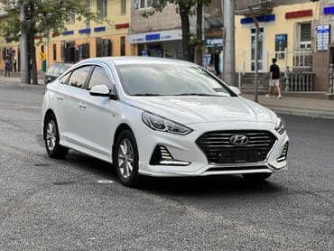 грин карта 2024 сроки подачи: ❗️Сдаю в аренду ❗️ Сдается авто в аренду Хюндай соната Нью райс Залог — 2