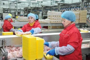 вакансии в кофейнях: Требуется Упаковщик, Оплата: Дважды в месяц, Без опыта — 2