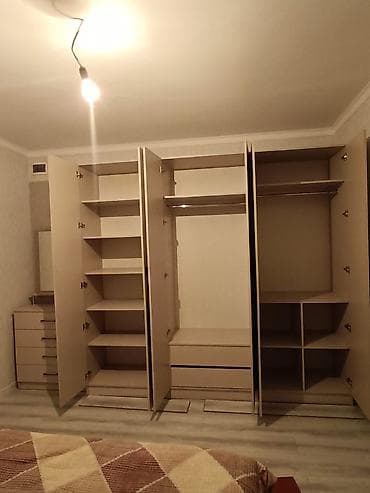 шариковая ручка: Шкаф на заказ, Распашной, ЛДСП, Бесплатная доставка, Установка, сборка — 3