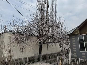 в клубном доме: Сдается просторный частный дом с большим двором и отдельными — 8