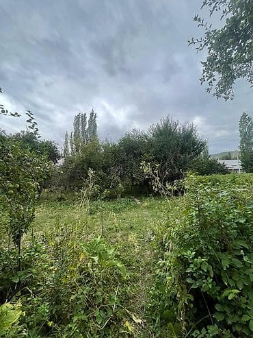 Недвижимость: 30 соток, Для сельского хозяйства — 7