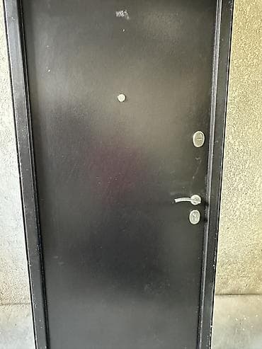 двухстворчатые двери: Двери для домов и квартир, Металлическая, Одностворчатая, цвет - Черный — 1