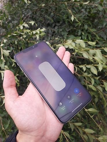 сд аудио: IPhone X, Серебристый — 3