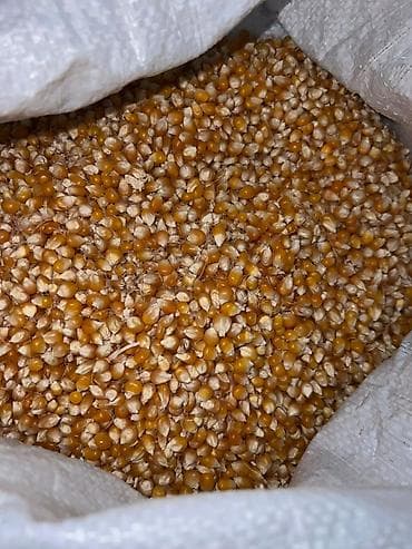 пакеты крафт: Кукуруза — 2