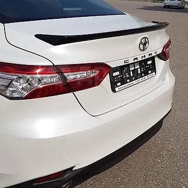 Спойлер на Toyota Camry 70 

В наличии - черный и белый
