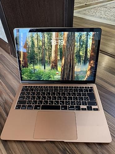 samsung quantum 2: Apple MacBook Air 8/256гб цвет Gold (золотой) Intel core i3 — 2