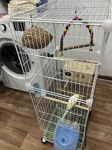 ри: Защитные сетки от птиц, Самовывоз — 2