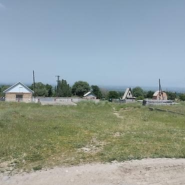 аламудунский: 500 соток, Красная книга, Договор купли-продажи — 6