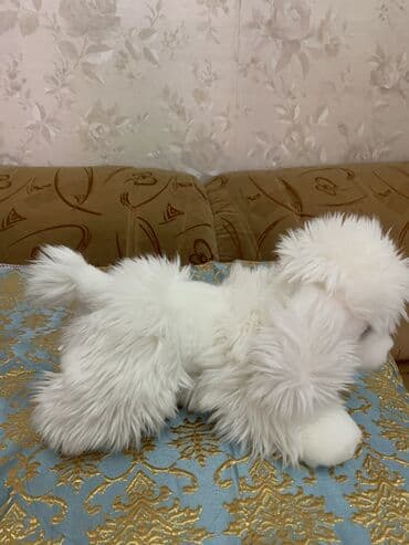 игрушка хаги ваги купить в бишкеке: Новая мягкая игрушка собачка — 3