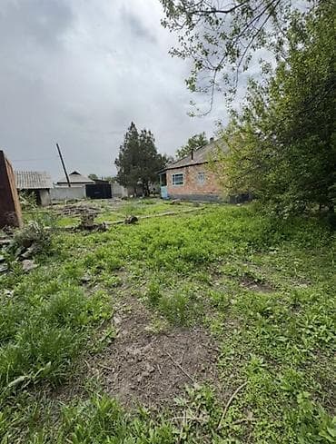 дача нива: Село Кызыл туу Участок 16 соток Дом 88 кв м Кызыл-туу Красная книга — 1