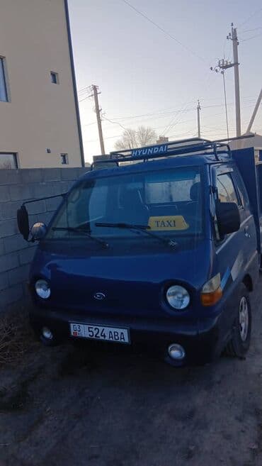 комнатные растения в бишкеке купить цена оптом и в розницу: Жук ташуу — 2